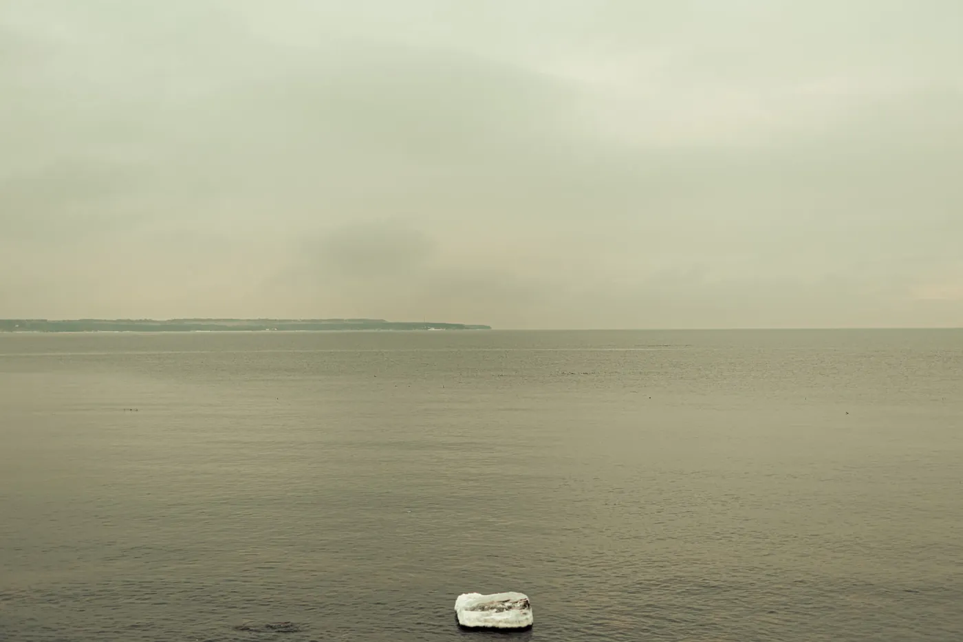 Nature morte — Adrien Beaucheix